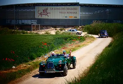 Visitas a la Loma del Regadío en Urrea de Gaén